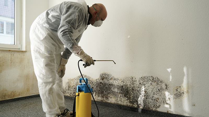 Mold Growth and How to Avoid it