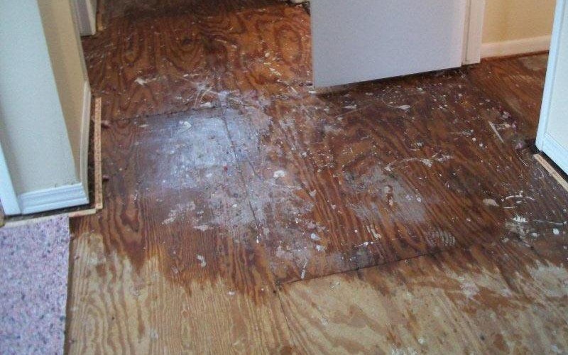 The Consequences of Water Damage