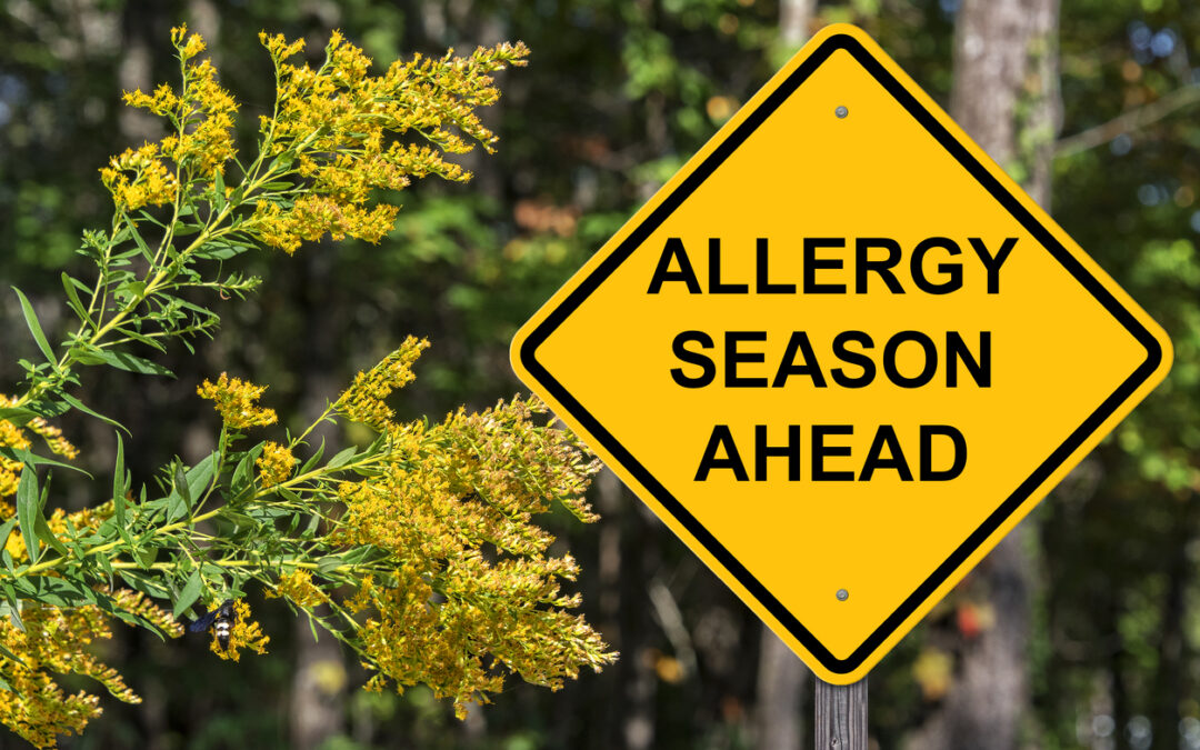 Common Mold Allergies in the Fall