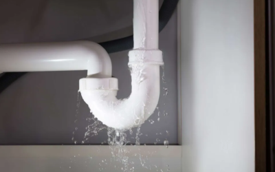 The Visible and Hidden Dangers of Water Leaks
